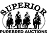 Superior Purebred
